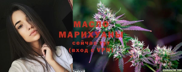 дмт Протвино