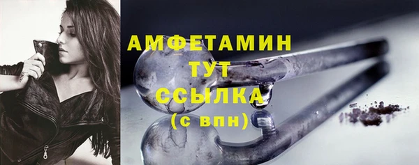 apvp Бородино