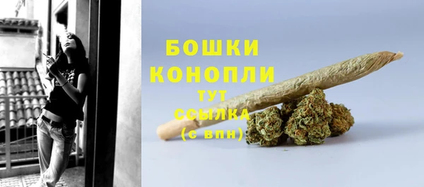 дмт Протвино