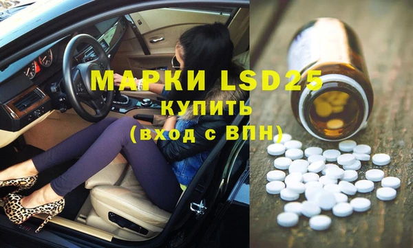 apvp Бородино