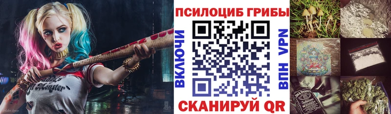 Галлюциногенные грибы Psilocybine cubensis  Весьегонск 